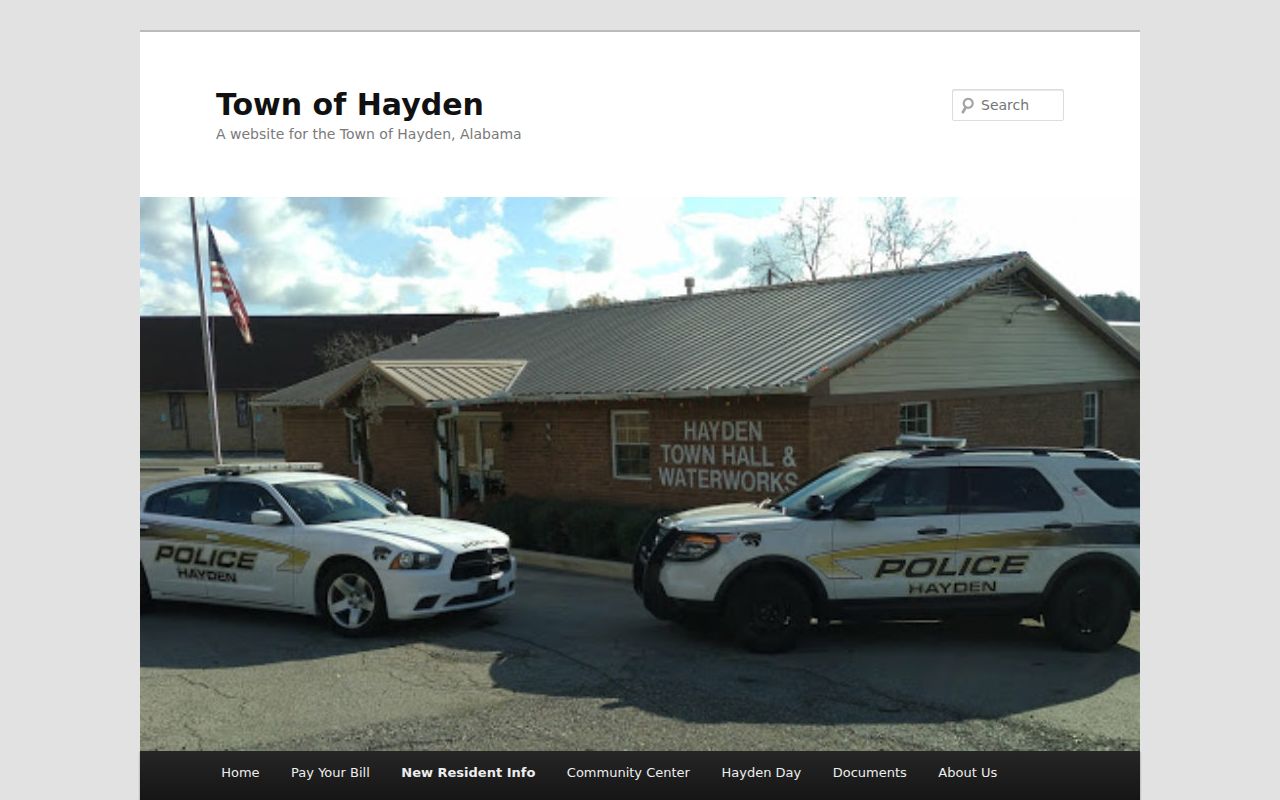 Hayden criminal history annex and civic service information